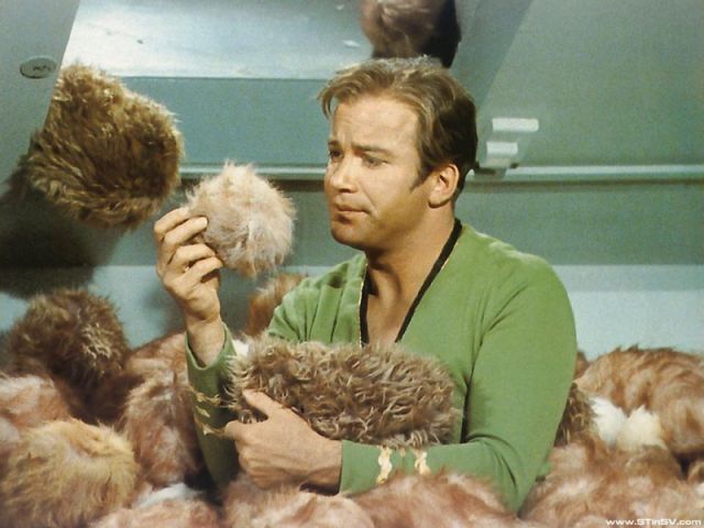 tribbles.jpg